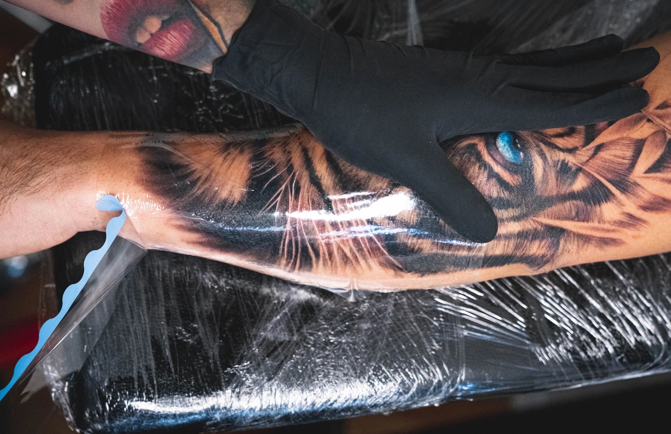 How Long Should You Keep Your Tattoo Wrapped? - Sorry Mom